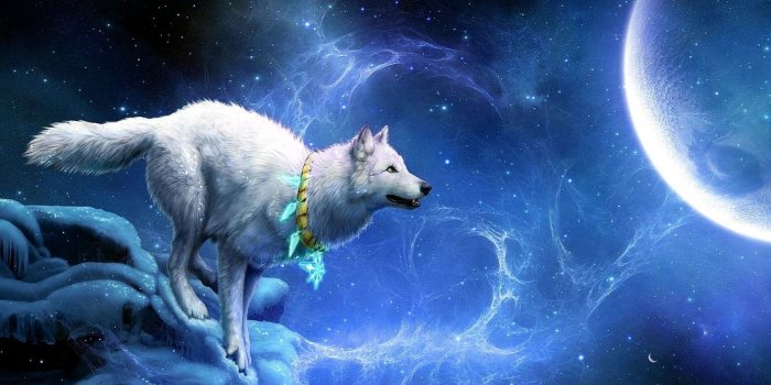 1920x1080 Anime Wolf Wallpaper (35+ images) on Genchi.info