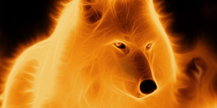 1024x768 Pictures of Cool Fire Wolf Backgrounds - #rock-cafe