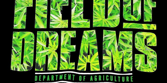 2332x2332 dgk dirty ghetto kids t-shirts | DGK Field of Dreams T-Shirt | DGK