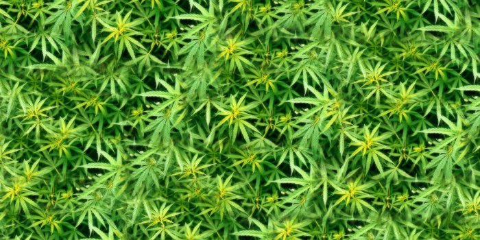 1280x1024 Cannabis Wallpapers