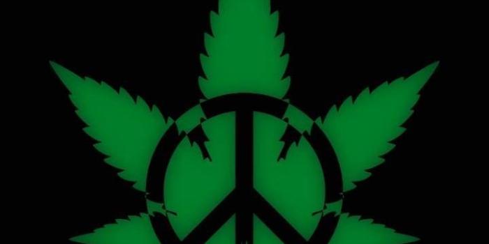 720x1280 Weedpeace | maryjane in 2019 | Stoner art, Cannabis wallpaper, Weed