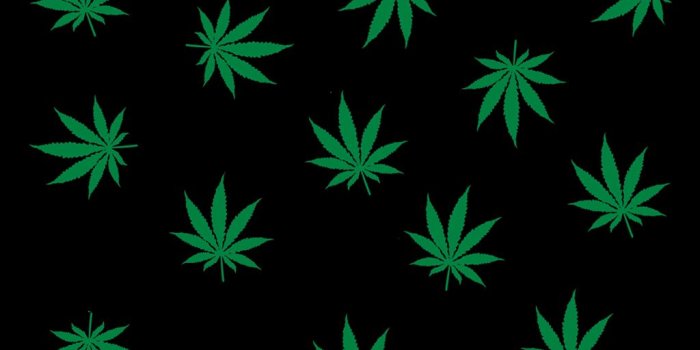 1024x768 Best 64+ Weed Backgrounds on HipWallpaper | Weed Girl Wallpaper