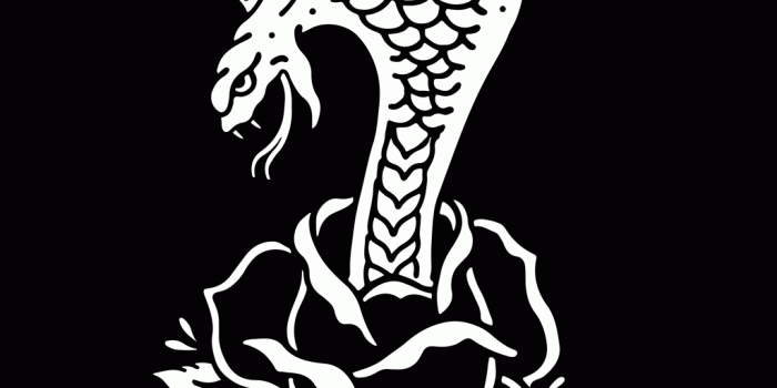 1024x1024 Softcore Shorts