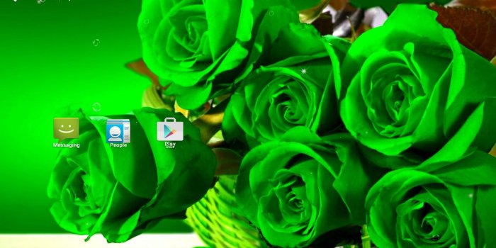1280x768 Green Rose Live Wallpaper for Android - APK Download
