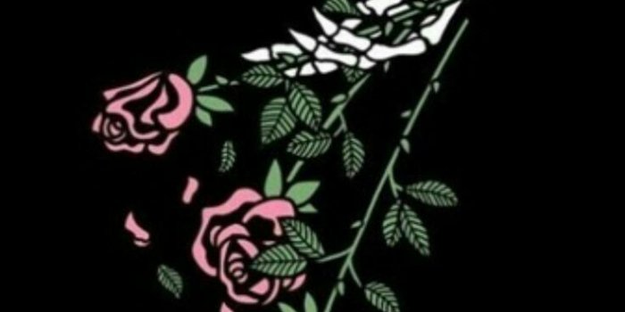 736x1093 Lurking Class Wallpapers