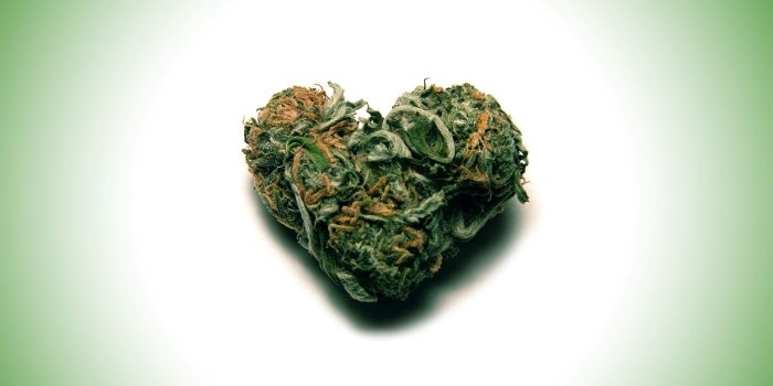 1600x1200 Weed desktop wallpaper Gallery