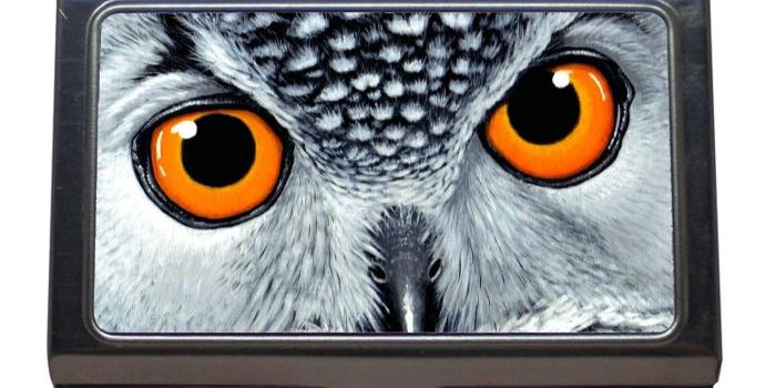 1500x1500 Amazon.com : Business Card Holder, owl City Cinematic owl Wallpaper