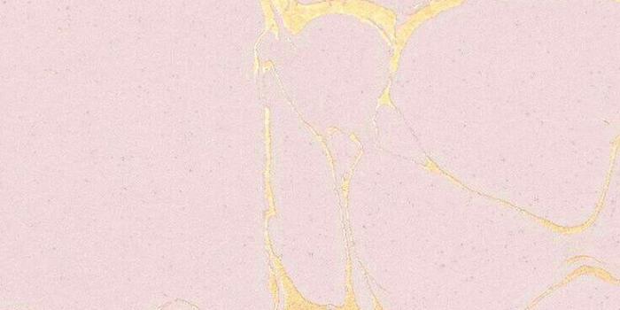 736x1226 99+] Black And Gold Marble Wallpapers on WallpaperSafari