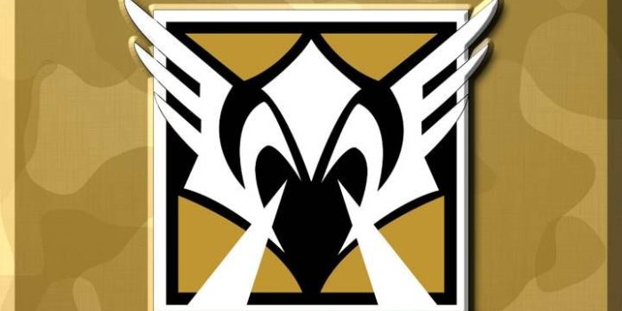 720x1280 Siege - Valkyrie | Siege | Rainbow 6 seige, Rainbow wallpaper, Rainbow