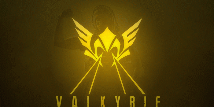 1920x1080 Valkyrie 8k Ultra HD Wallpaper | Background Image | 12000x6750 | ID