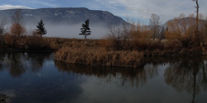 5760x1080 Doe on Triple HD Monitor Wallpapers 5760x1080 in 2019