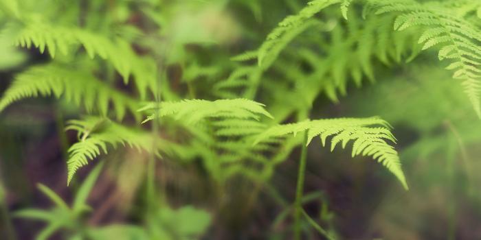 5759x1079 Spread Out Your Desktop with These Triple Monitor Wallpapers