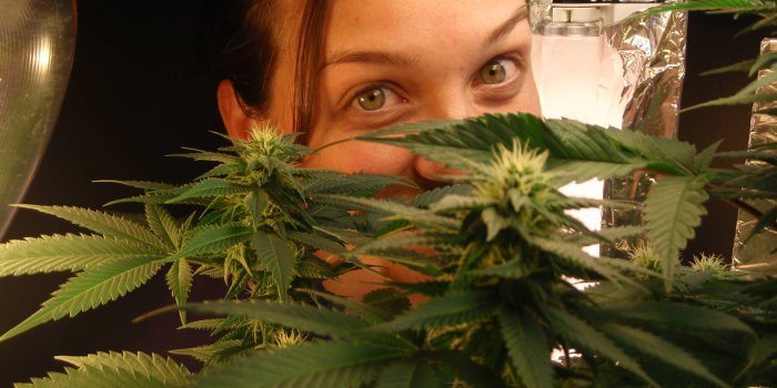 2048x1536 Medical Marijuana Personal Pot Lubricant Targets Lady Parts | Canna