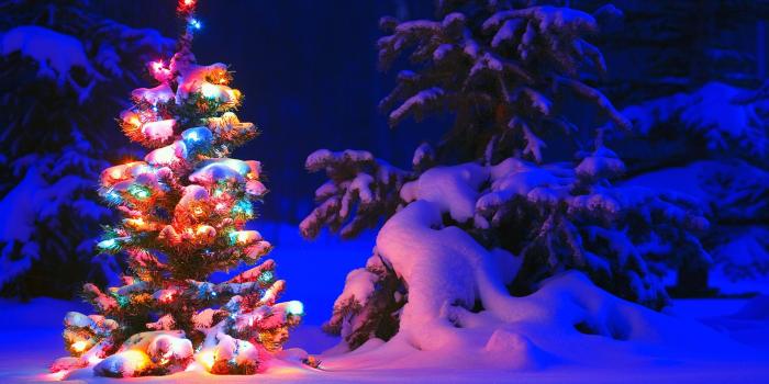 1920x1200 Holiday & seasons Wallpaper