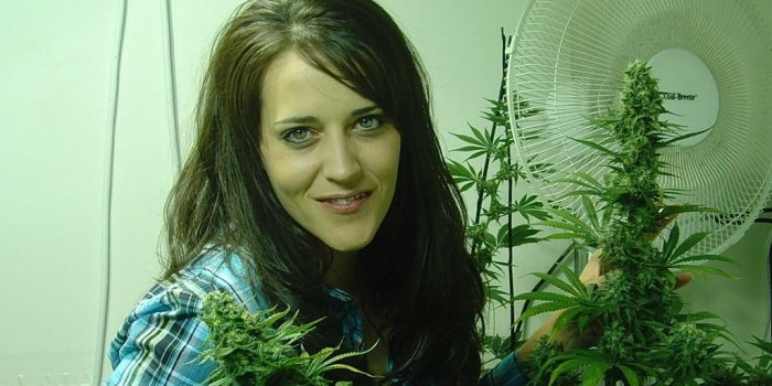 1024x768 420 Girl Jamie | 420 Magazine ®