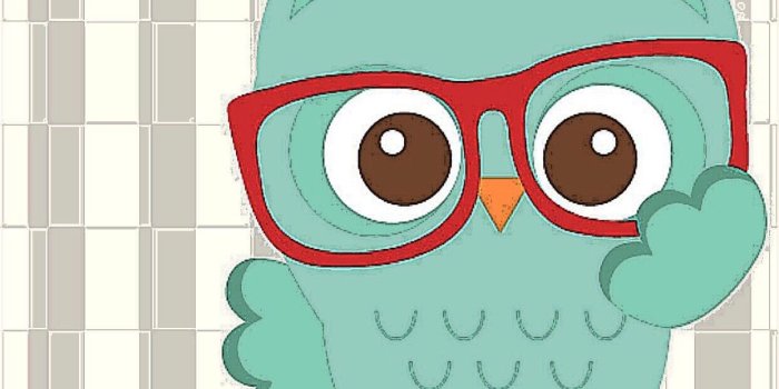 1242x2208 71+ Cute Owl Wallpapers on WallpaperPlay