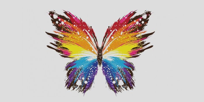 2524x2524 Illustrated animal kingdom wallpapers for iPad and iPhone