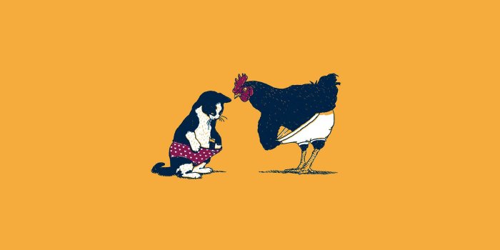 2048x2048 FreeiOS8.com | iPhone wallpaper | ah83-cat-chicken-yellow-underwear