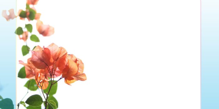 1600x1200 Free Artistic Borders, Download Free Clip Art, Free Clip Art on