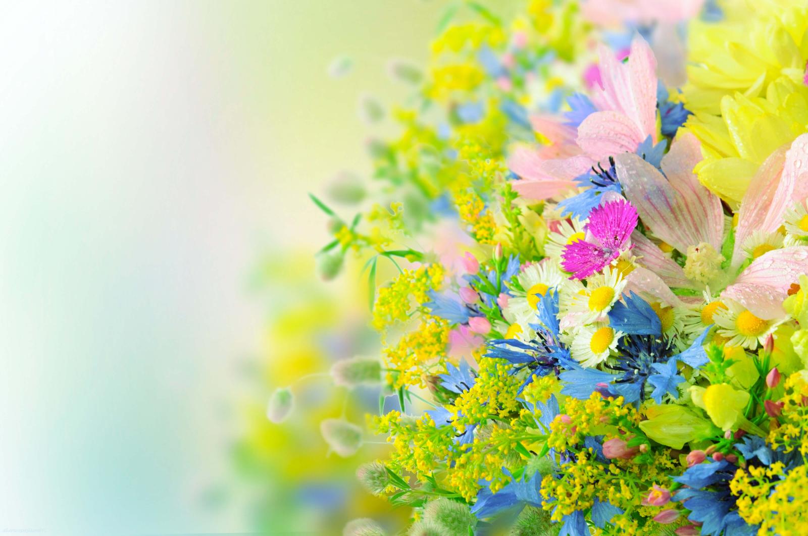 4000x2657 Beautiful Bright Flowers Hd Wallpaper - Flower Wallpapers High