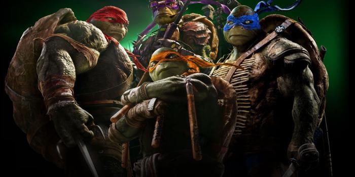 1600x1200 22+ Ninja Turtles Full HD Quality Background Images, GsFDcY Graphics