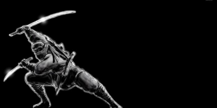 1920x1080 Cool Ninja Wallpapers ,free download, (36) - cerc-ug.org