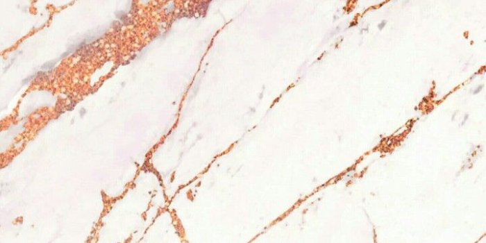 720x1230 IPhone White rose gold marble Wallpaper/ Fond d'écran blanc marbré