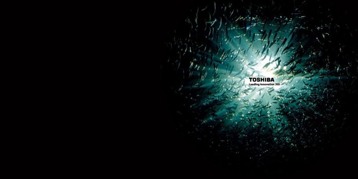 1366x768 Toshiba Windows Wallpaper 1366×768 Toshiba Wallpapers Free Download