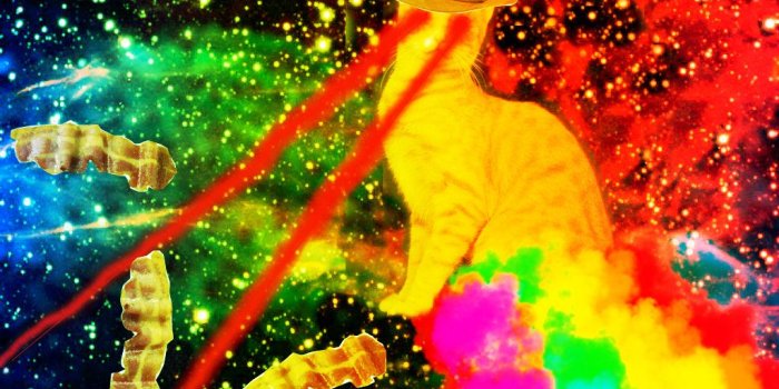 1024x768 Trippy Cat Wallpaper ,free download, (60) - cerc-ug.org