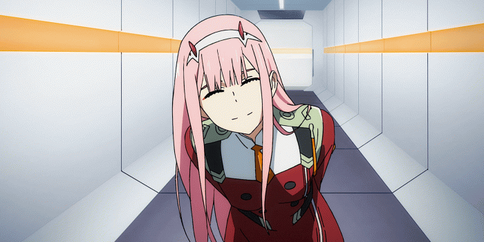 1920x1080 516 Zero Two (Darling in the FranXX) HD Wallpapers | Background