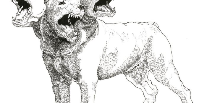 1173x1600 Cerberus drawing free download on ayoqq cliparts