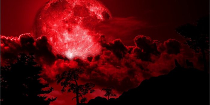 1280x800 Dark Side Of The Moon Wallpaper Elegant Red Full Moon - Red Moon