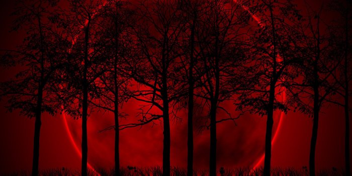 2560x1600 71+] Red Moon Wallpaper on WallpaperSafari