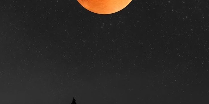 736x1308 Blood moon #wallpaper #iphonewallpaper #nature - #background #Blood