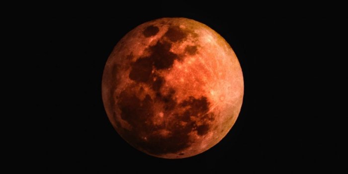 1224x1224 Desktop wallpaper blood moon, night, dark, hd image, picture
