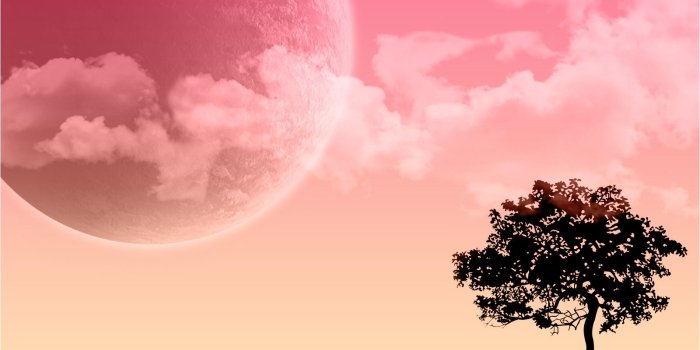 1600x1200 Red Moon Wallpaper Vector 3D Wallpapers in jpg format for free download