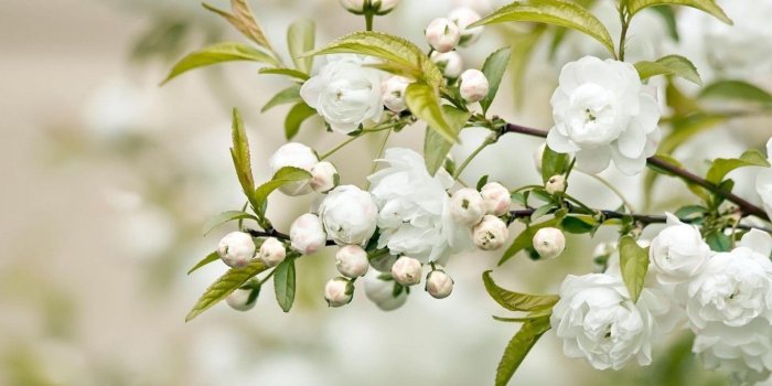 1366x768 Beautiful Wallpapers for Desktop Full Screen - WallpaperSafari