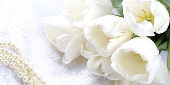1456x810 Beautiful White Flowers Wallpaper Desktop | Wallpapers Style