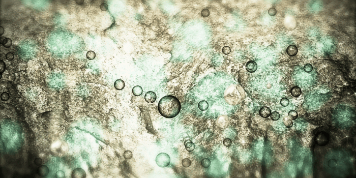 1920x1080 HD & 4K Wallpapers Storyblocks Videos: Royalty-Free Wallpapers Stock