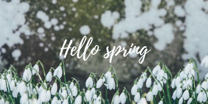 2735x1827 Free Spring Desktop Images | d e s i g n | Spring desktop wallpaper