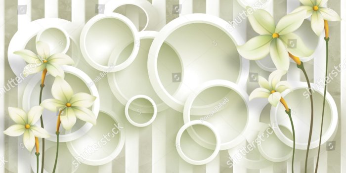 1500x1038 3d circle background with flowers background wallpaper