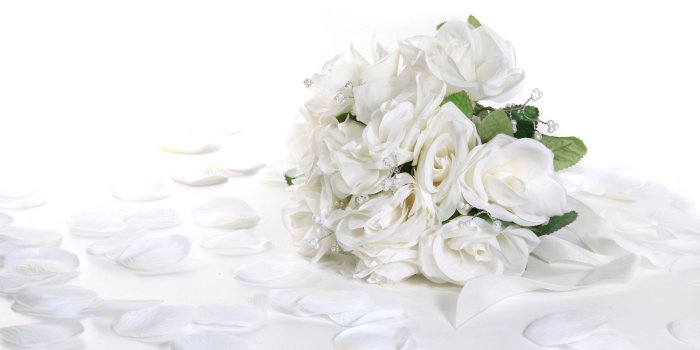 2560x1600 White Roses Desktop Wallpaper - Wallpaper, High Definition, High