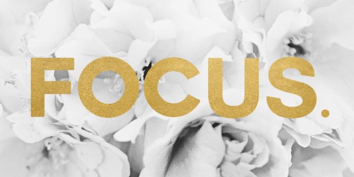 1080x1920 Focus gold foil wallpaper with black and white flowers free download