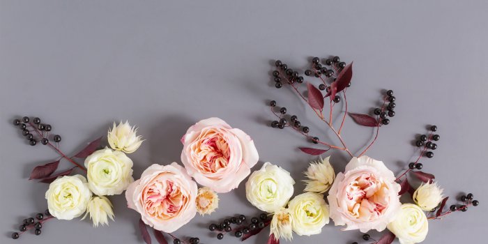 5602x3735 DIGITAL BLOOMS JANUARY 2019 | FREE DESKTOP WALLPAPER - JustineCelina