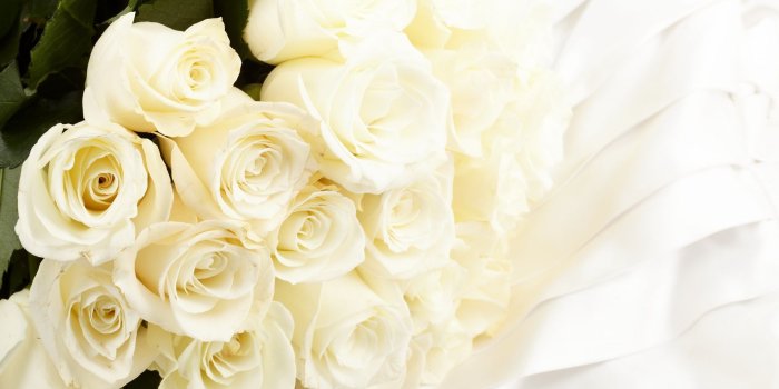 1920x1080 Collection of White Roses Desktop Wallpaper (33+ images in Collection)