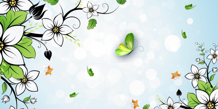 1920x1080 Summer White Flowers HD desktop wallpaper : Widescreen : High