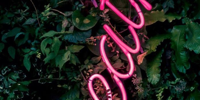 736x1308 15 Colorful Neon iPhone XR Wallpapers | wallpapers | Neon wallpaper