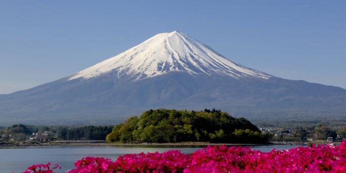 1920x1200 Japan, mountains, landscapes, nature, mount Fuji, pink flowers, Mt