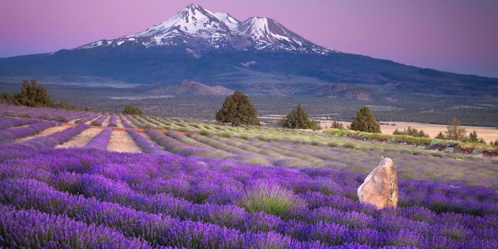 1920x1080 15 HD Mount Fuji Japan Wallpapers