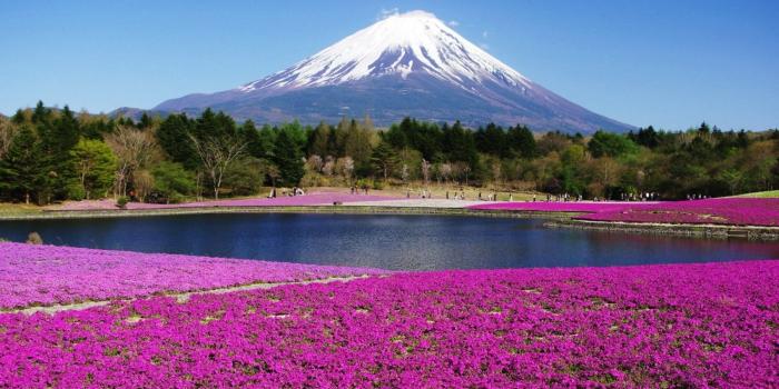 1800x1013 Japan Mount Fuji 2019 HD Desktop Wallpapers | YL Computing